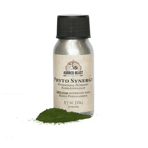 Product Spotlight: Phyto Synergy Super Antioxidant