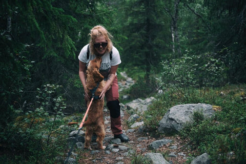 First Aid for Pets