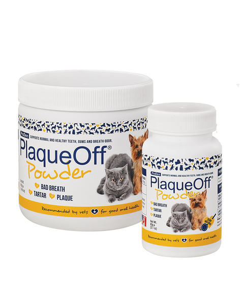 Dental Supplements