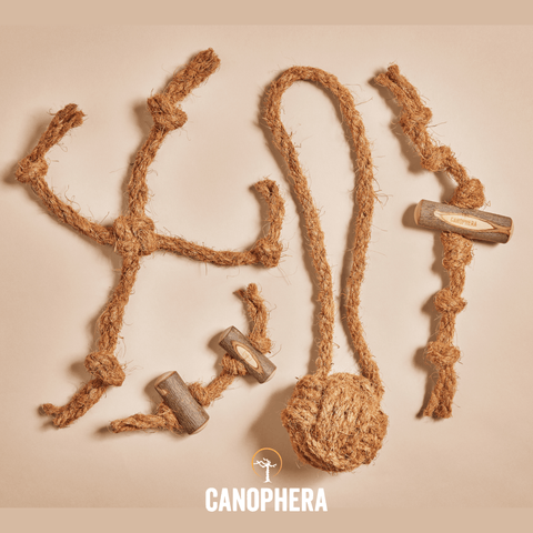 Four Variations of CANOPHERA Coco Ball Cat Toy