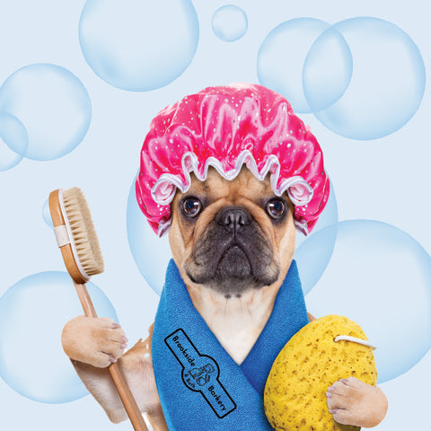 Book a Grooming or Bathing Appointment
