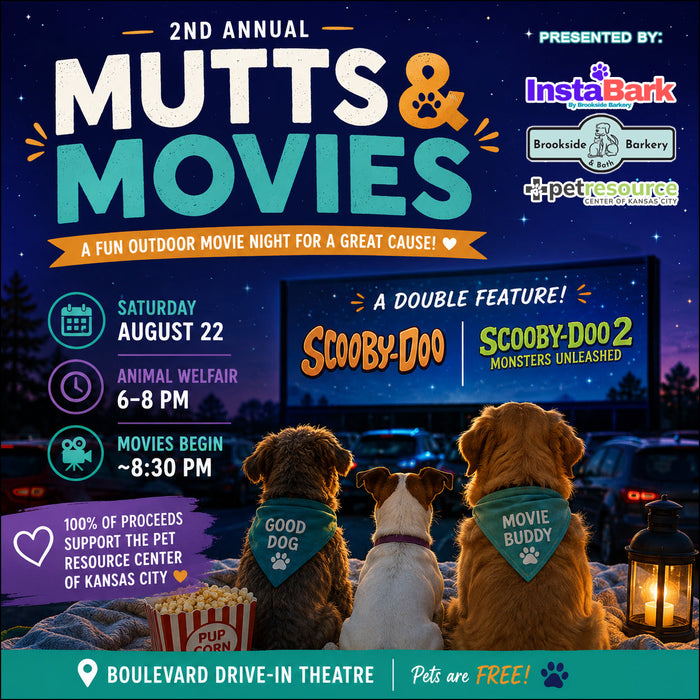 Mutts & Movies Returns for Its 2nd Annual Night Under the Stars!