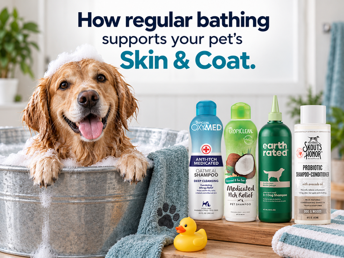 How regular bathing supports your pet’s Skin & Coat