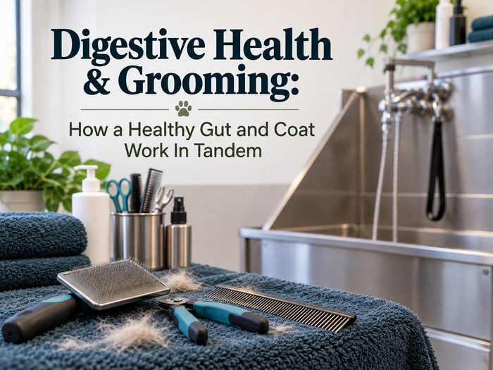 Pet Digestive Health & Grooming: How a Healthy Gut and Coat Work In Tandem