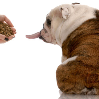 What is Protein Rotation?