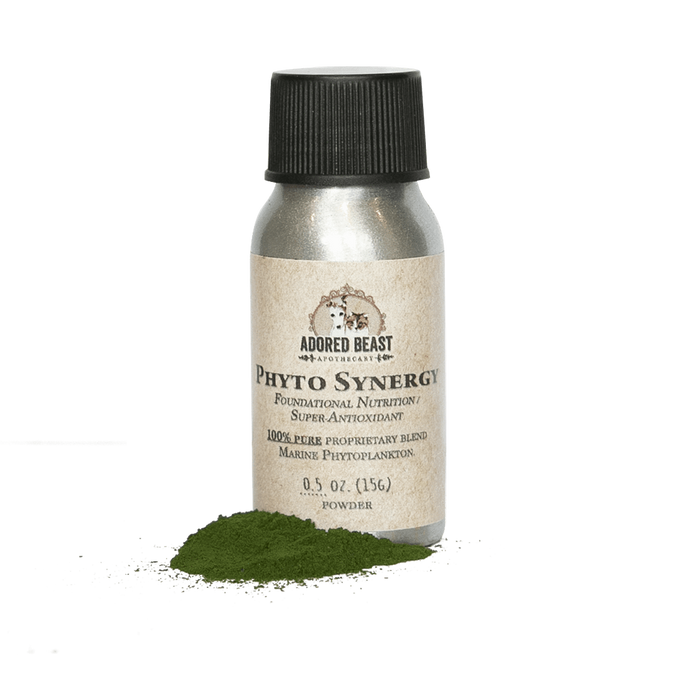 Product Spotlight: Phyto Synergy Super Antioxidant