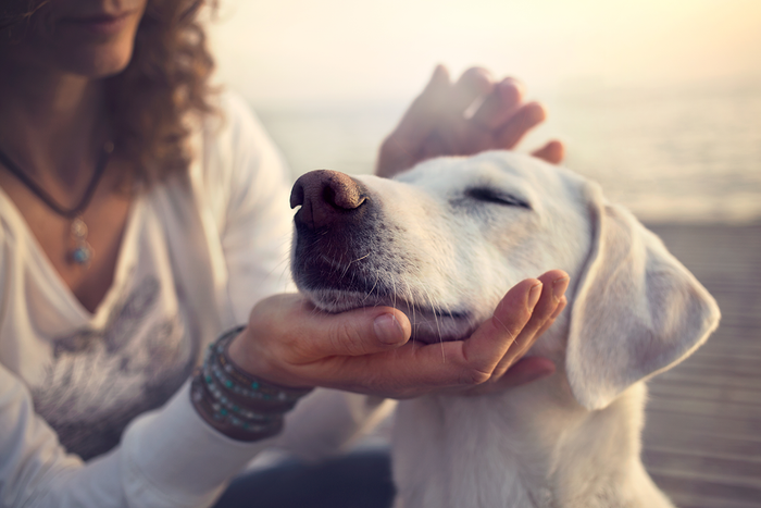 Woman petting dog
