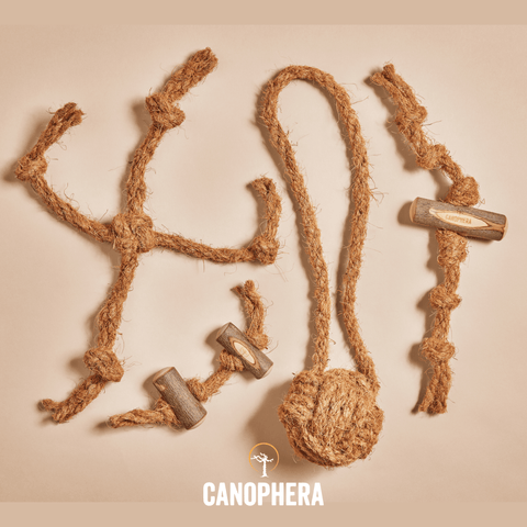 CANOPHERA Coco Ball Cat Toy