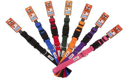 Dog Collars & Leashes