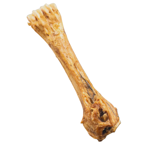 Jack & Pup Shin Bone 8" Dog Chew