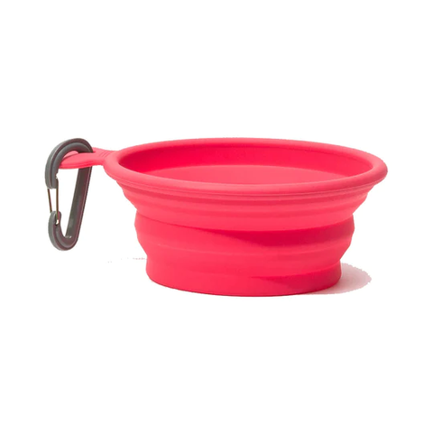 Messy Mutts Silicone Collapsible Dog Bowl - Large, 3 Cups