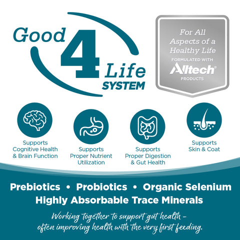 NutriSource Adult Chicken & Rice Dry Dog Food