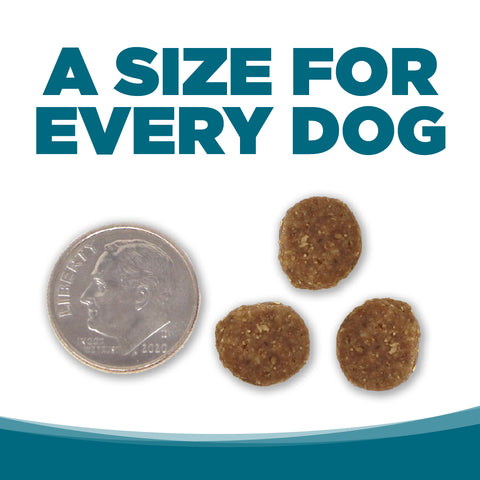 NutriSource Adult Chicken & Rice Dry Dog Food