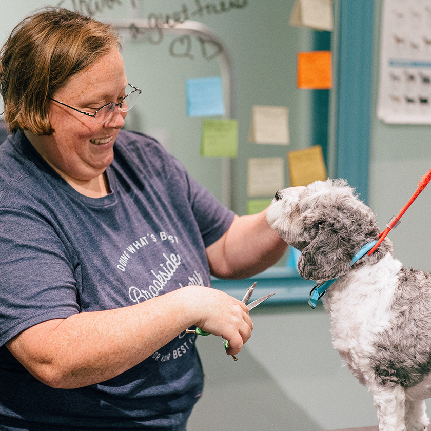Picture of Services – Brookside Barkery & Bath