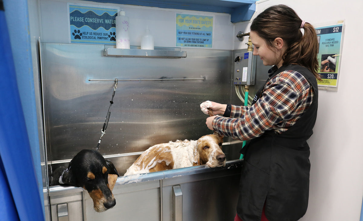 Self-Service Pet Wash – Brookside Barkery & Bath