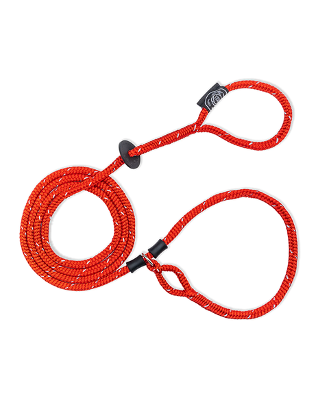 No-Pull Escape Resistant Harness & Lead In-One - Medium/Large