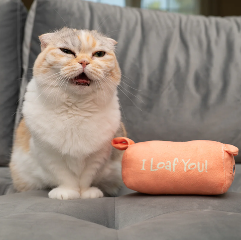 Caitec Nala Bunny Kickerz Pillow - I Loaf You Cat Toy