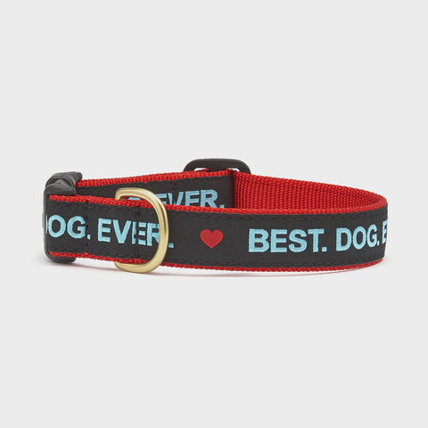 Up Country Best Dog Ever Dog Collar