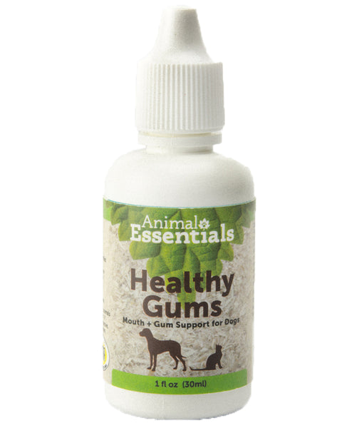 Animal Essentials Healthy Gums Supplement for Dogs and Cats 1oz
