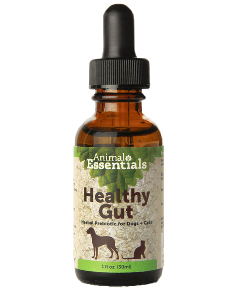 Animal Essentials Healthy Gut Supplement for Dogs and Cats 1oz