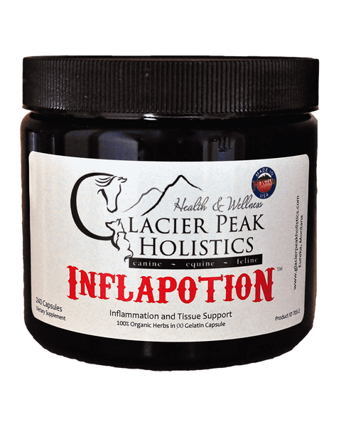 Glacier Peak Holistics Inflapotion Herbal Remedy for Dogs 120-Count