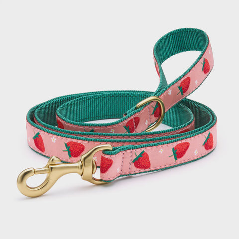 Up Country Strawberry Fields Dog Leash 5ft