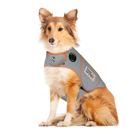 ThuderShirt Anxiety Vest for Dogs
