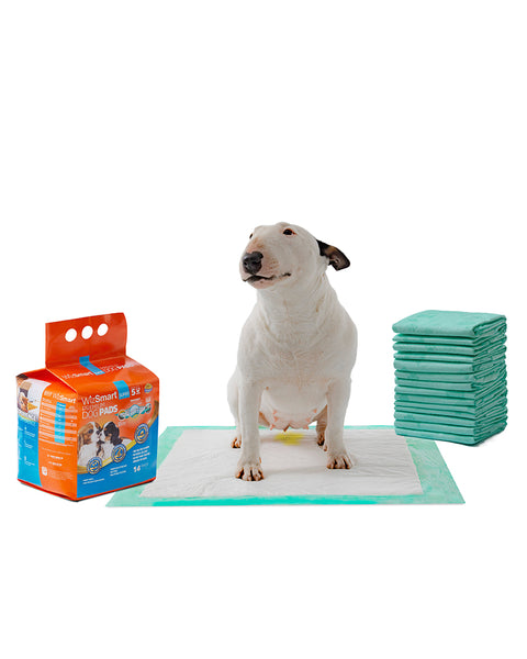 WizSmart All-Day Dry Dog Pads - Super 14 Pack